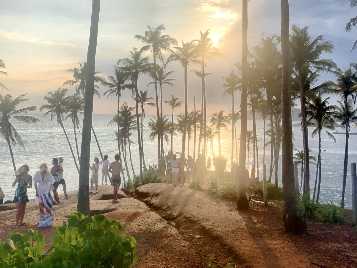 Sunset through the palm trees at Coconut Tree Hill, Mirissa