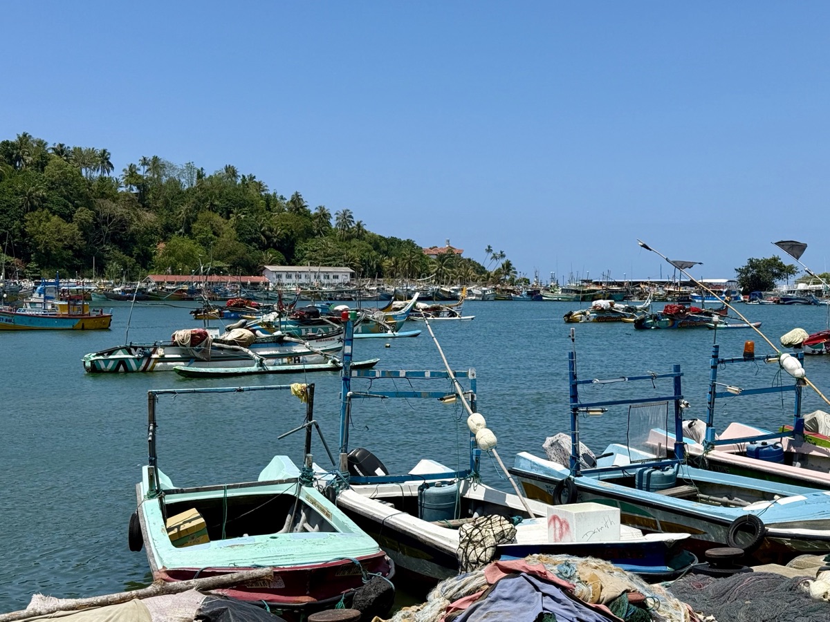 Colourful fishing boats moored in Mirissa Harbour
